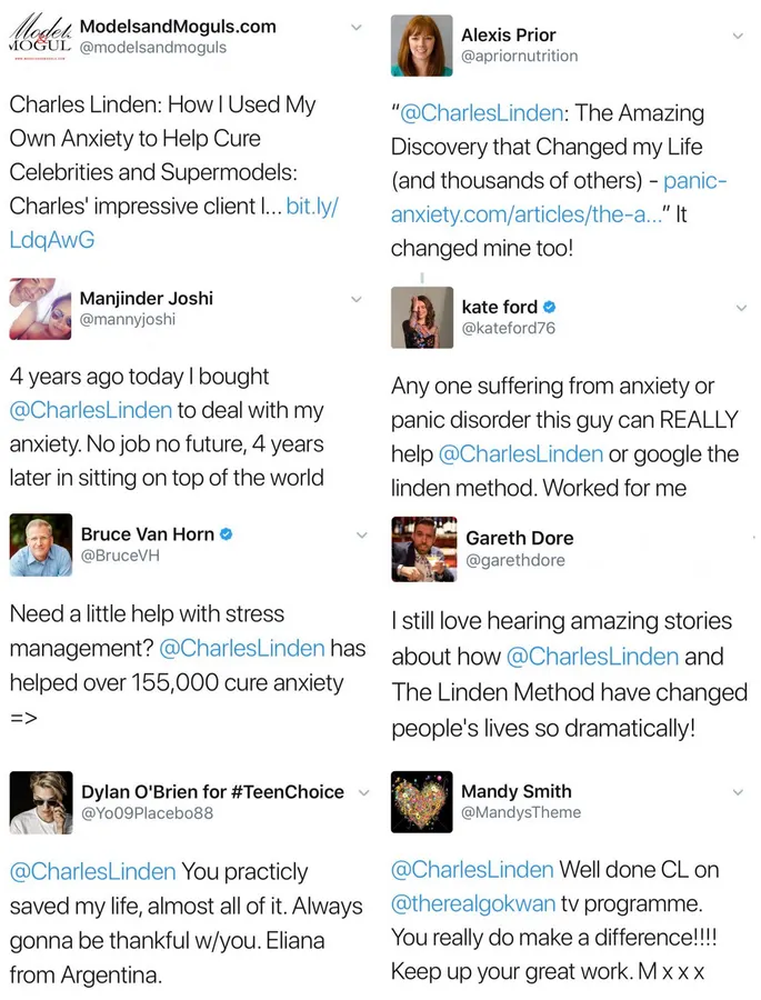 Linden Method testimonial screenshot 27